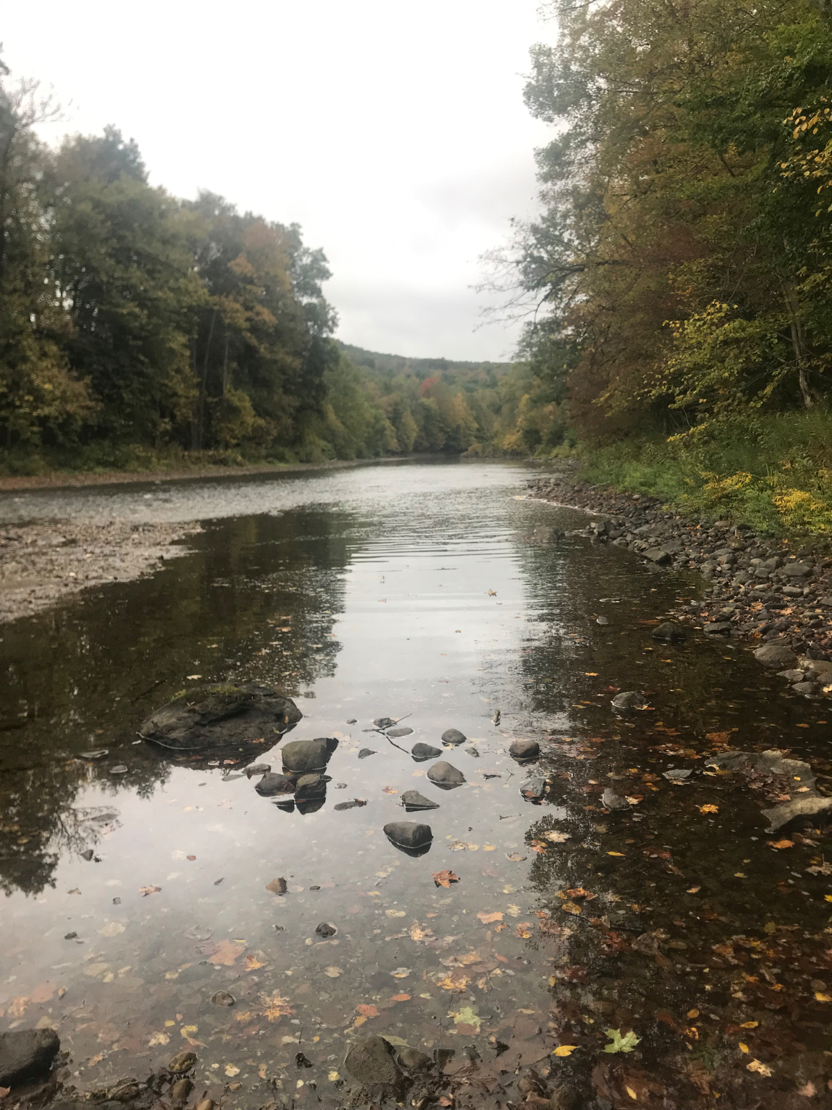 Tiny House on the Battenkill River | 30 min to Saratoga & Glens Falls Hospitals - Photo 2