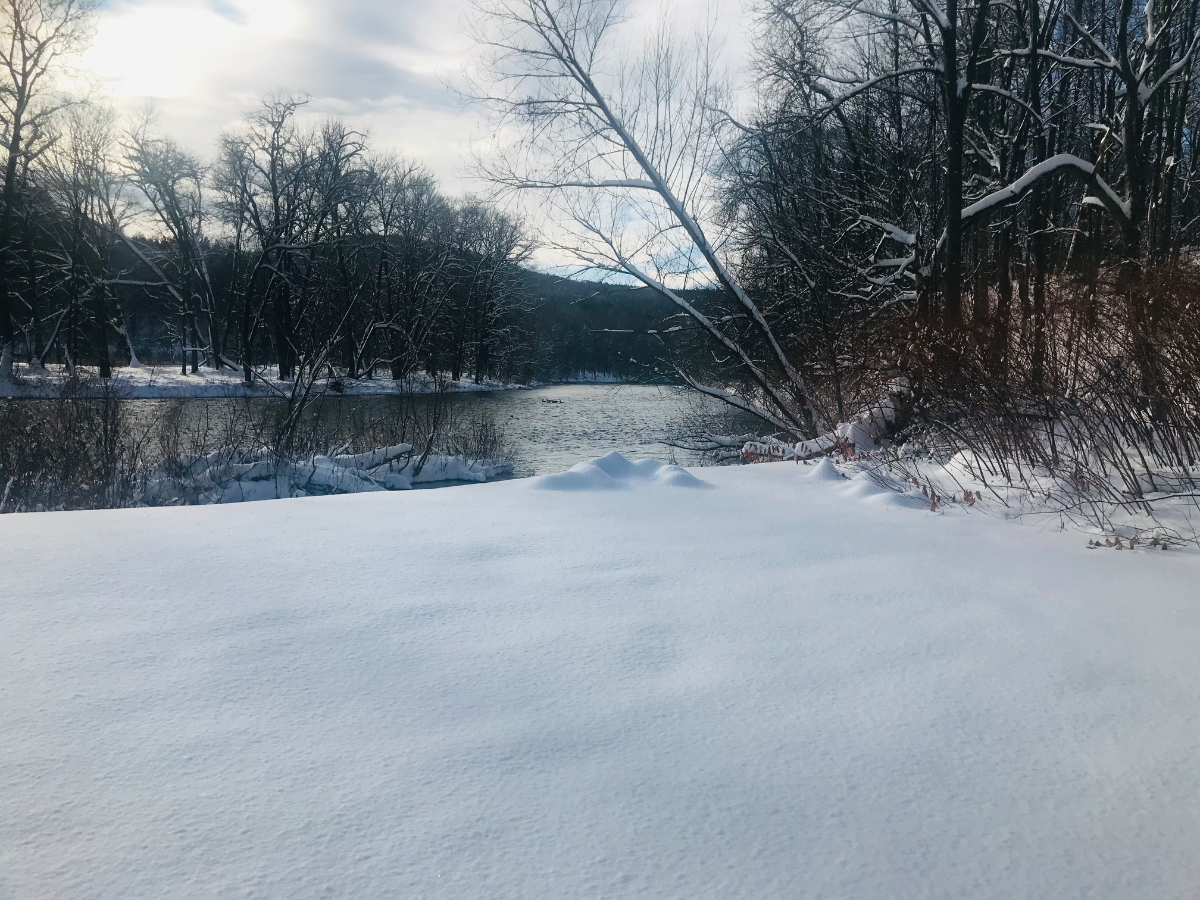 Tiny House on the Battenkill River | 30 min to Saratoga & Glens Falls Hospitals - Photo 1
