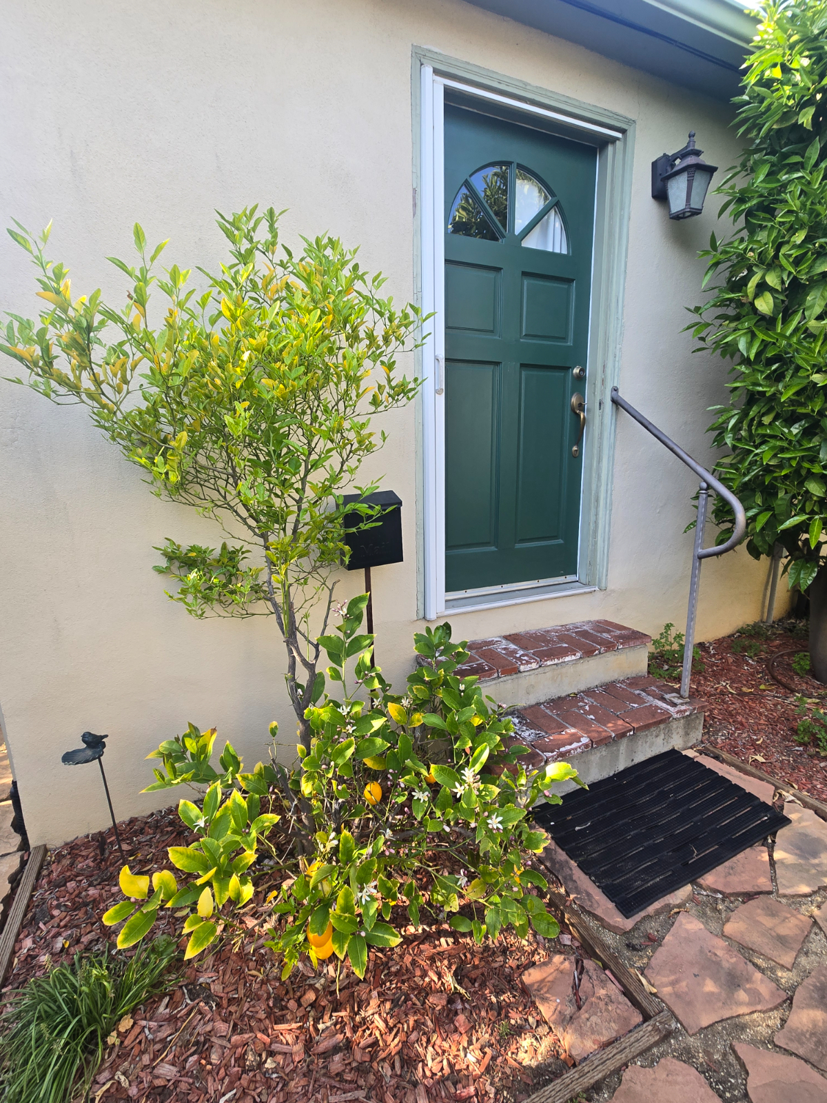 Private Garden Studio - Photo 2