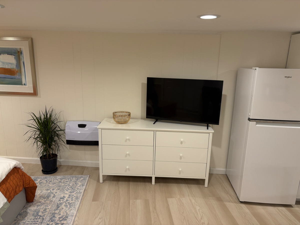 Renovated Unit in Historic Neighborhood Walking Distance to Multiple Hospitals - Great for Nurses - Photo 7