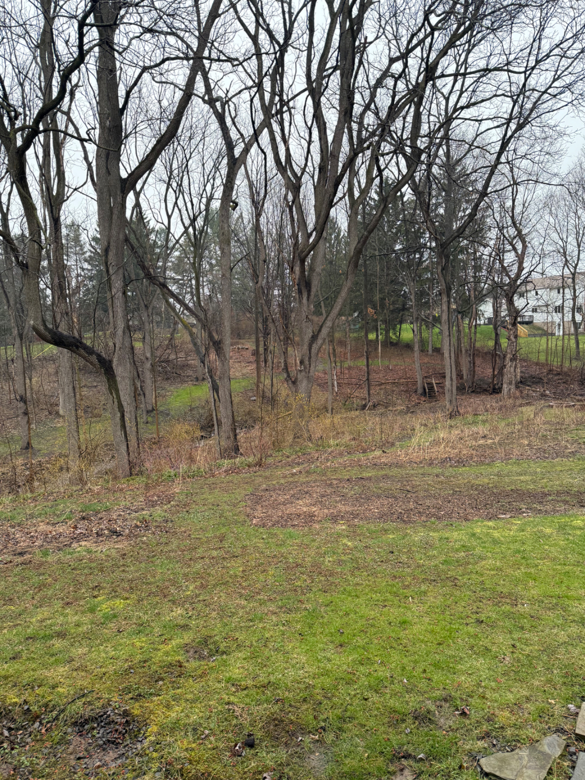 Private Walk-out Basement w/Kitchenette in a Safe Neighborhood. - Photo 9