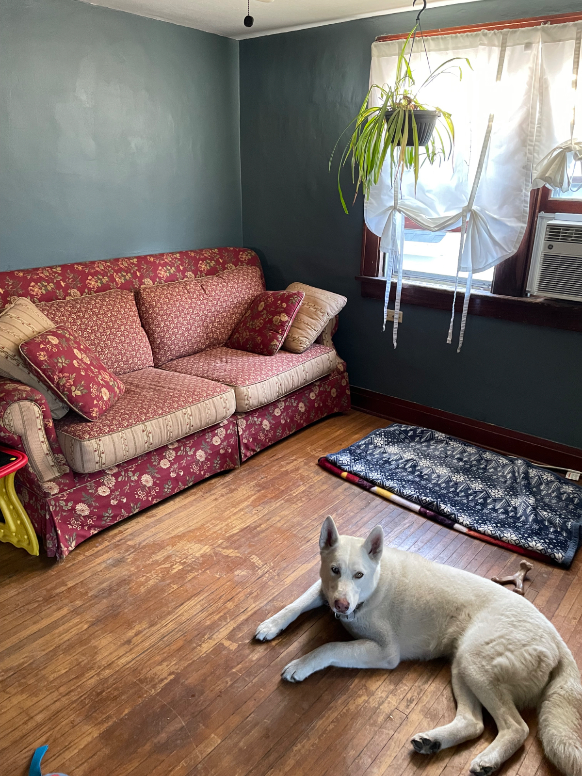 Large private apartment within 5 miles of most major hospitals - Photo 6