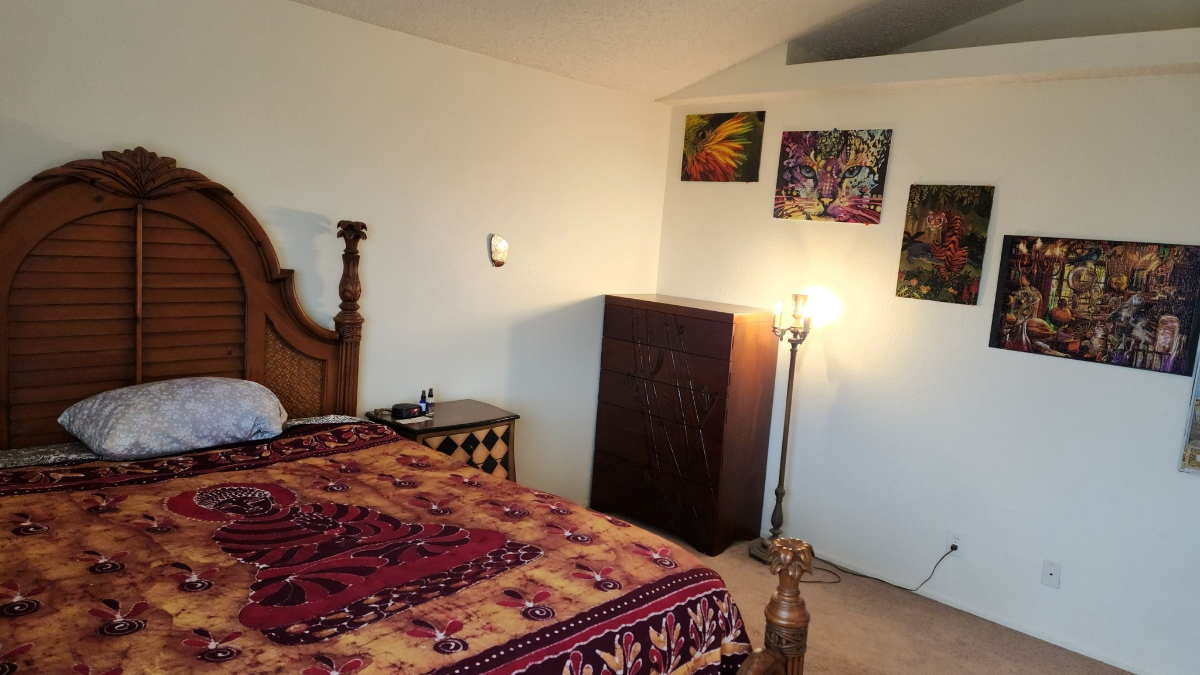 Spacious Sunny Master Bedroon - 6 miles from two hospitals - Walk-In Closet - Garden Patio Access - Photo 5