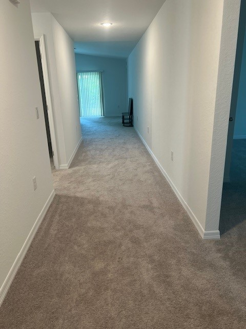 Brand new and spacious home in sunny Florida - Photo 7