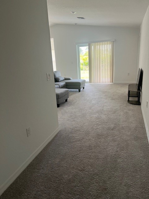 Brand new and spacious home in sunny Florida - Photo 11