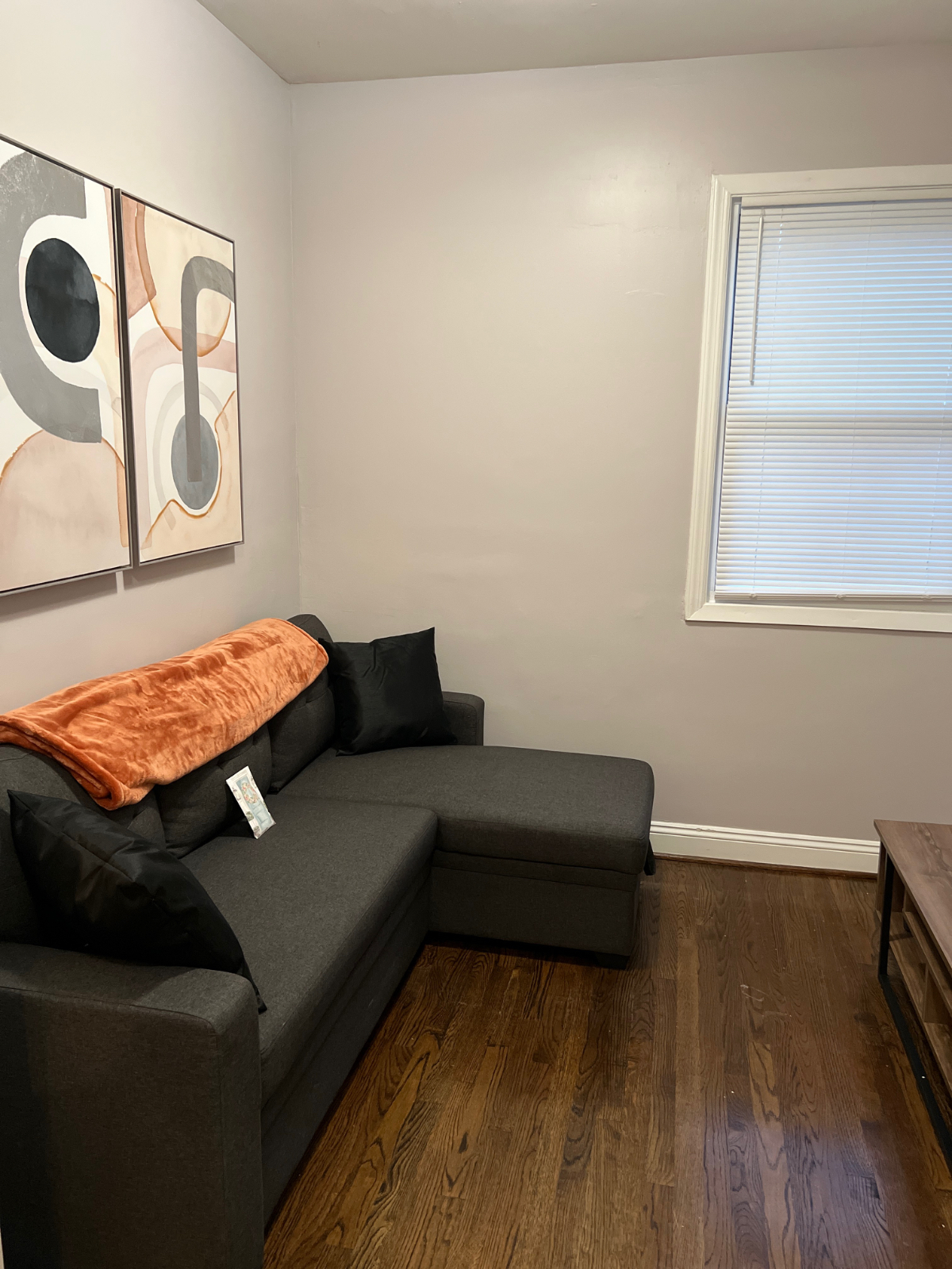 Washington DC Apartment - Photo 5