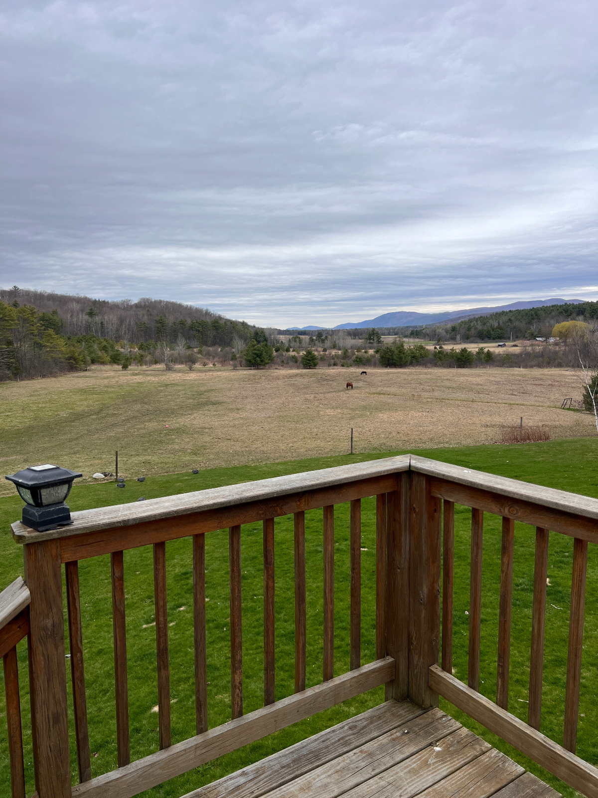 Two Bedroom Apartment on 10 acre farm - Photo 7