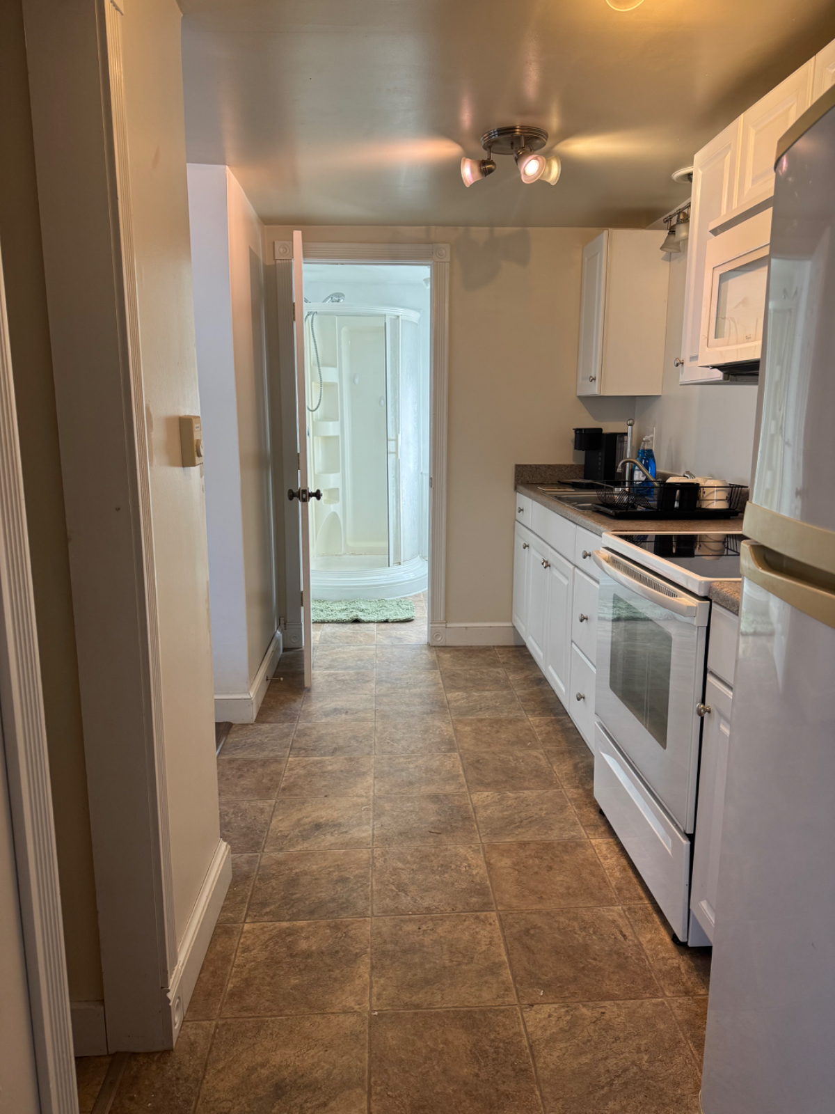 48 1/2 Lorraine St - Photo 4