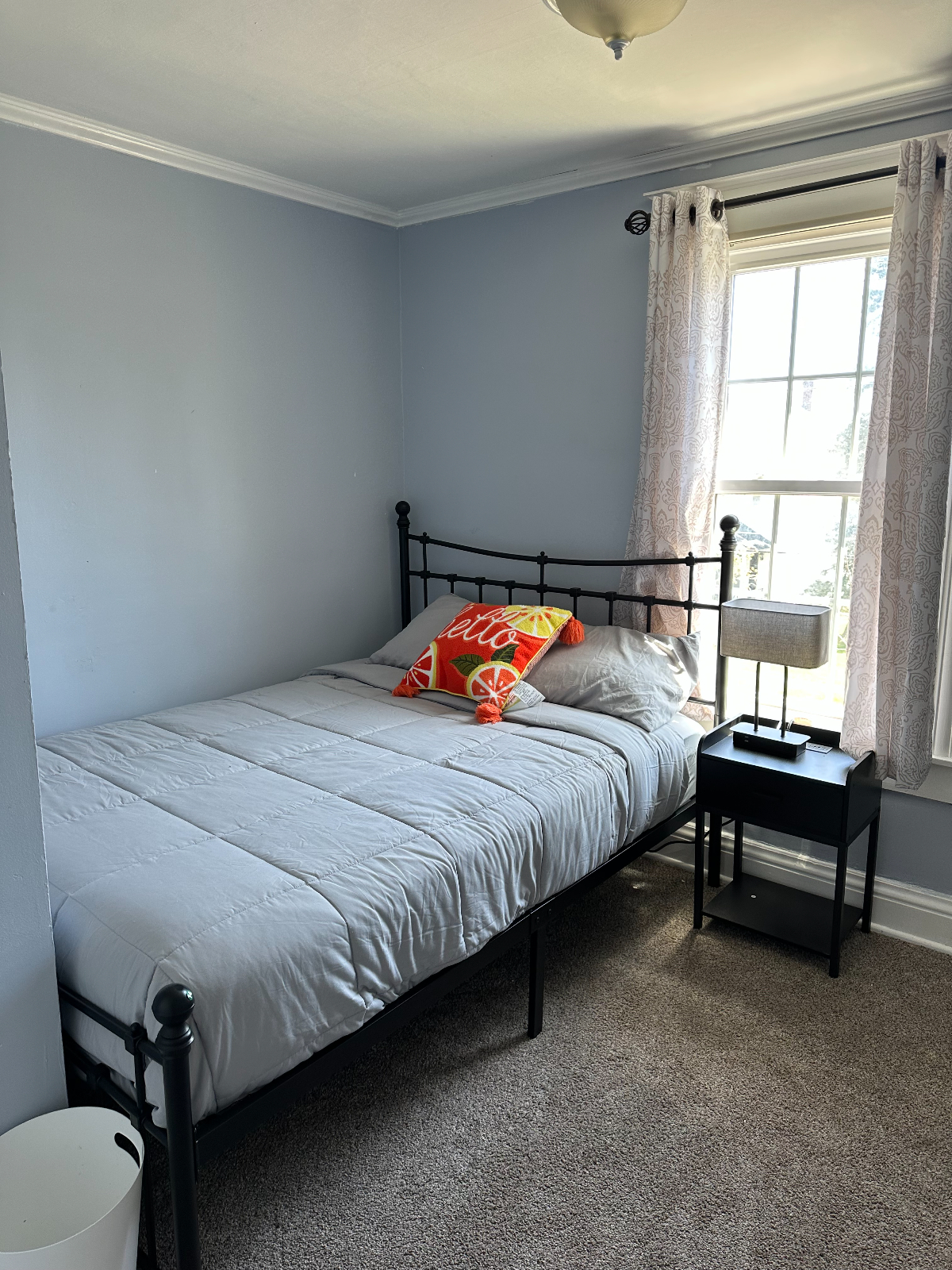 Serene, Wonderful, convenient house near the historical charming Seneca Falls downtown - Photo 8