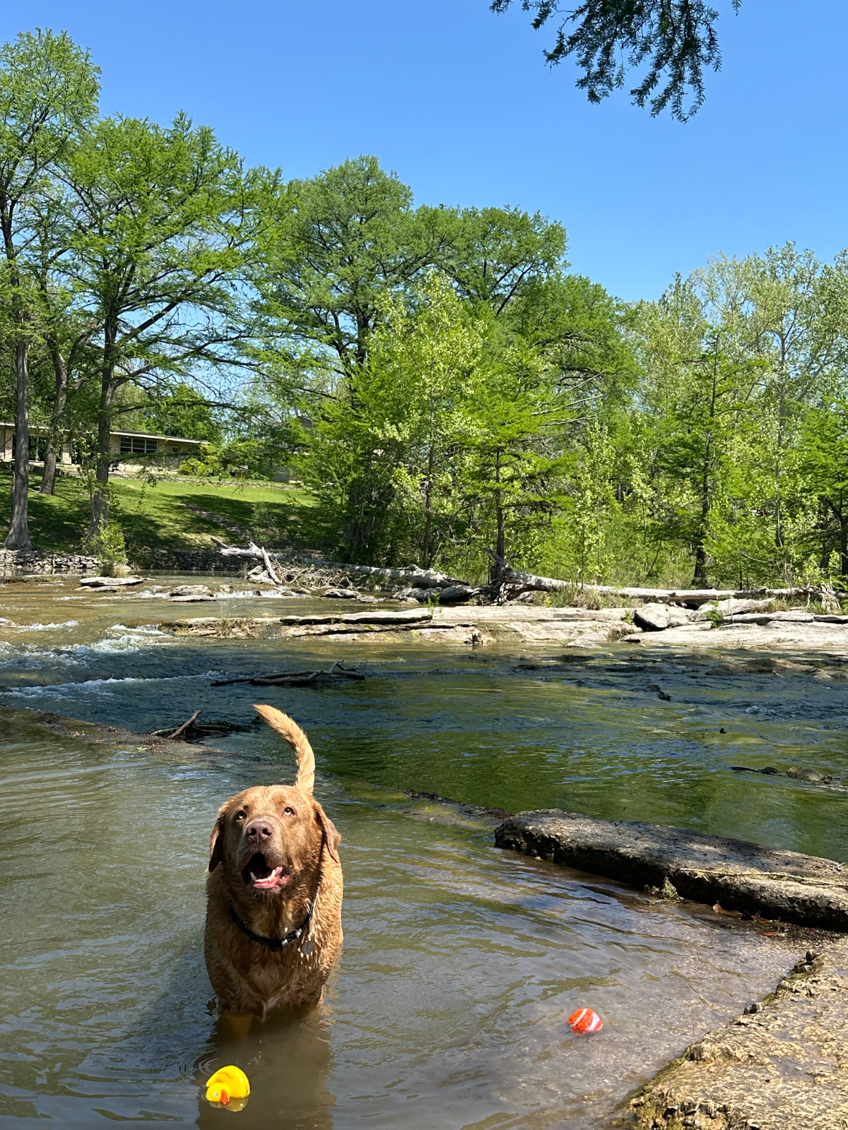 Serene River Retreat to Float Fish & Relax on the Guadalupe - Photo 6