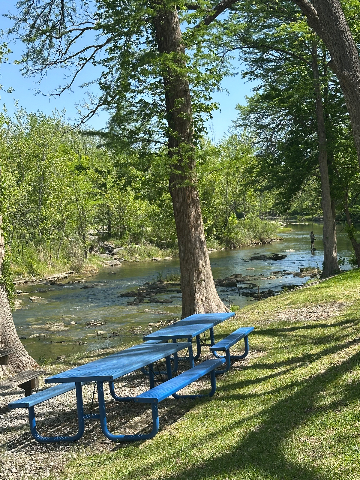 Serene River Retreat to Float Fish & Relax on the Guadalupe - Photo 7