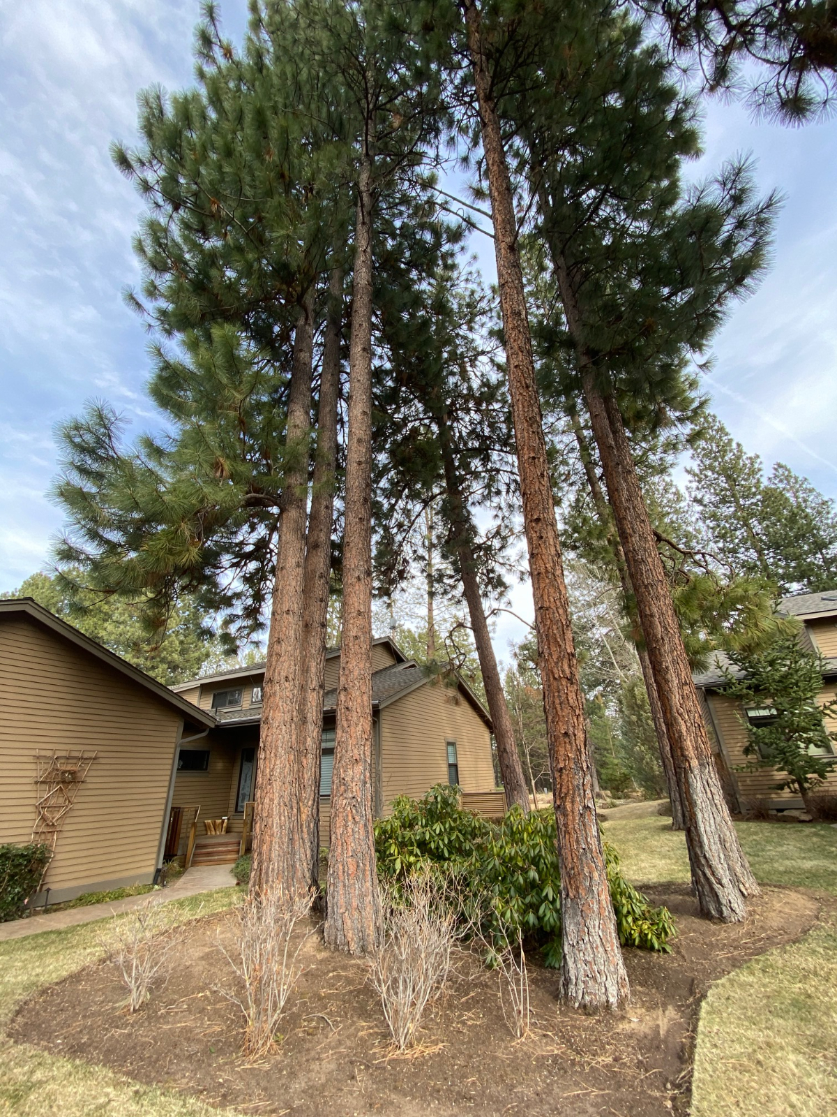 Peaceful Townhouse on Golf Course - 3BR, Loft, Near River, Trails, & Mt. Bachelor - Photo 3