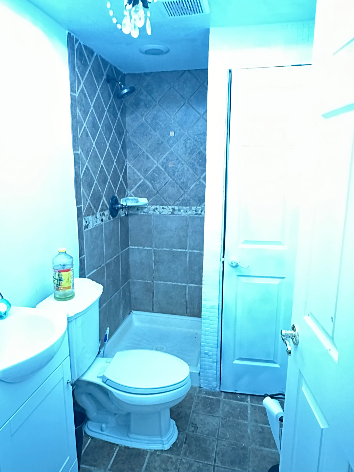 Basement apartment - Photo 6