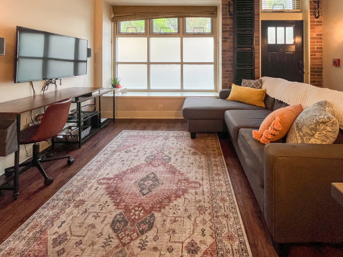 Beautiful 1 Bed/1Bath Close to Albany Med/Washington Park - Photo 3