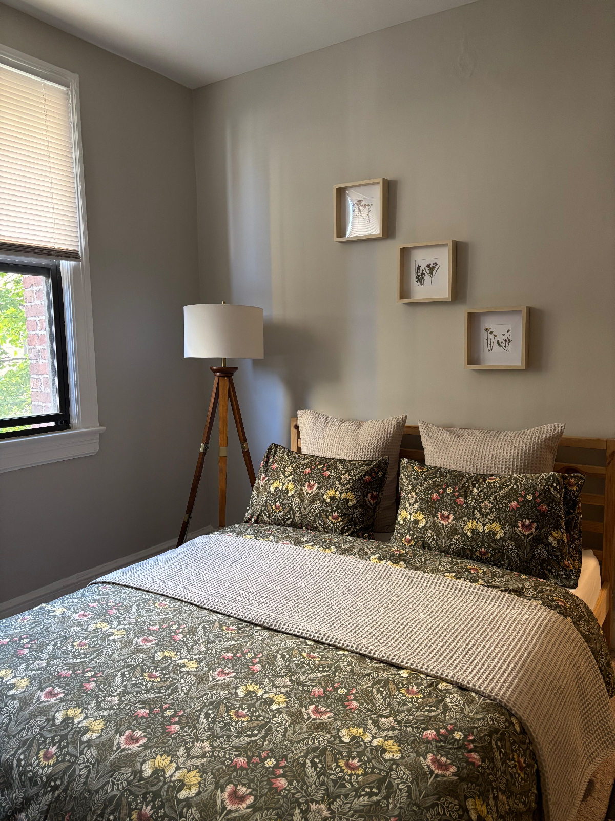 Charming Studio in Columbia Heights, Washington D.C. Quiet, Central, and Lovingly Designed. - Photo 3