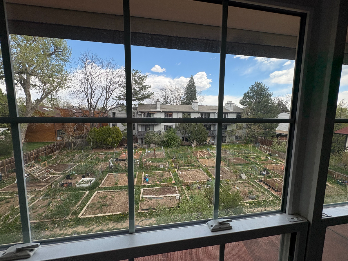 Live the North Boulder Lifestyle - Cozy 2BR 1 BA (home office space) - Photo 9