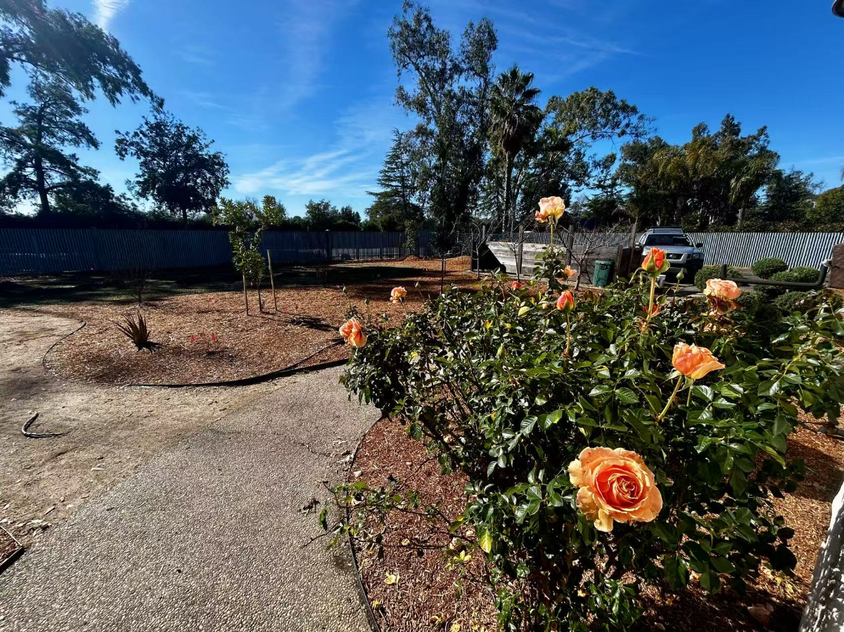 Suburban oasis with pool across from country club - pets ok - close to everything - Photo 5