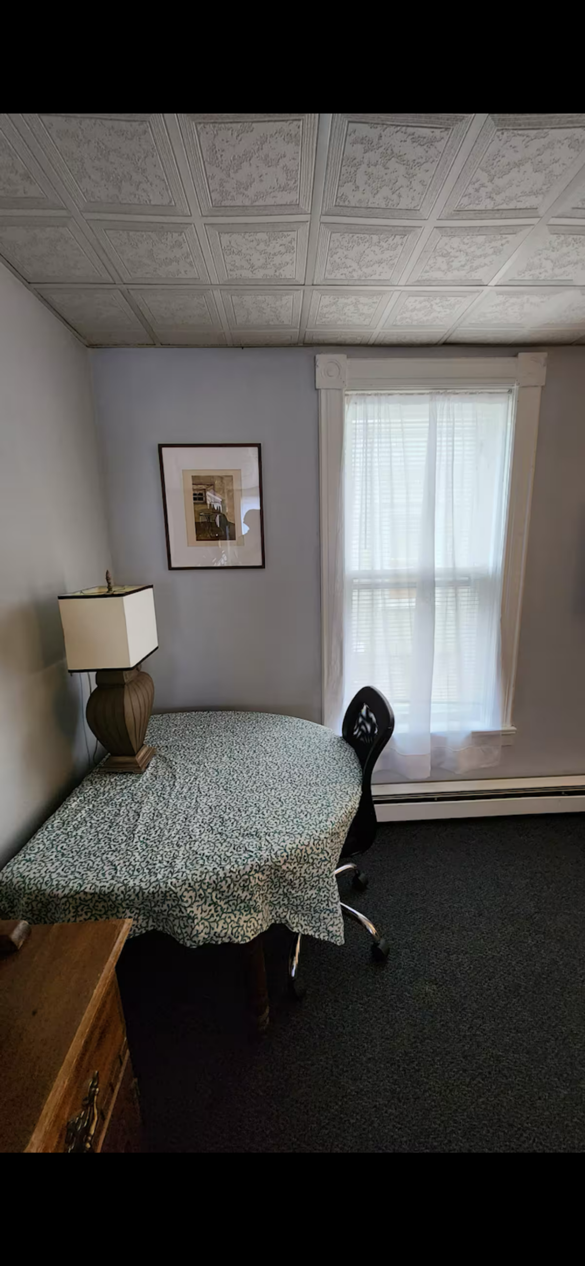 Comfortable In Town Apartment - Photo 5