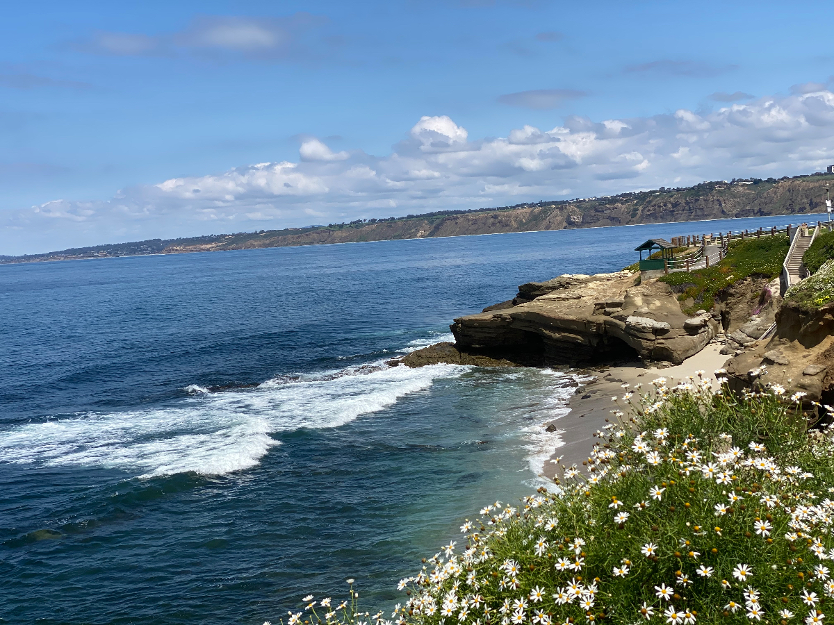 Luxury2 bedrooms condo in LaJolla fully furnished - Photo 2