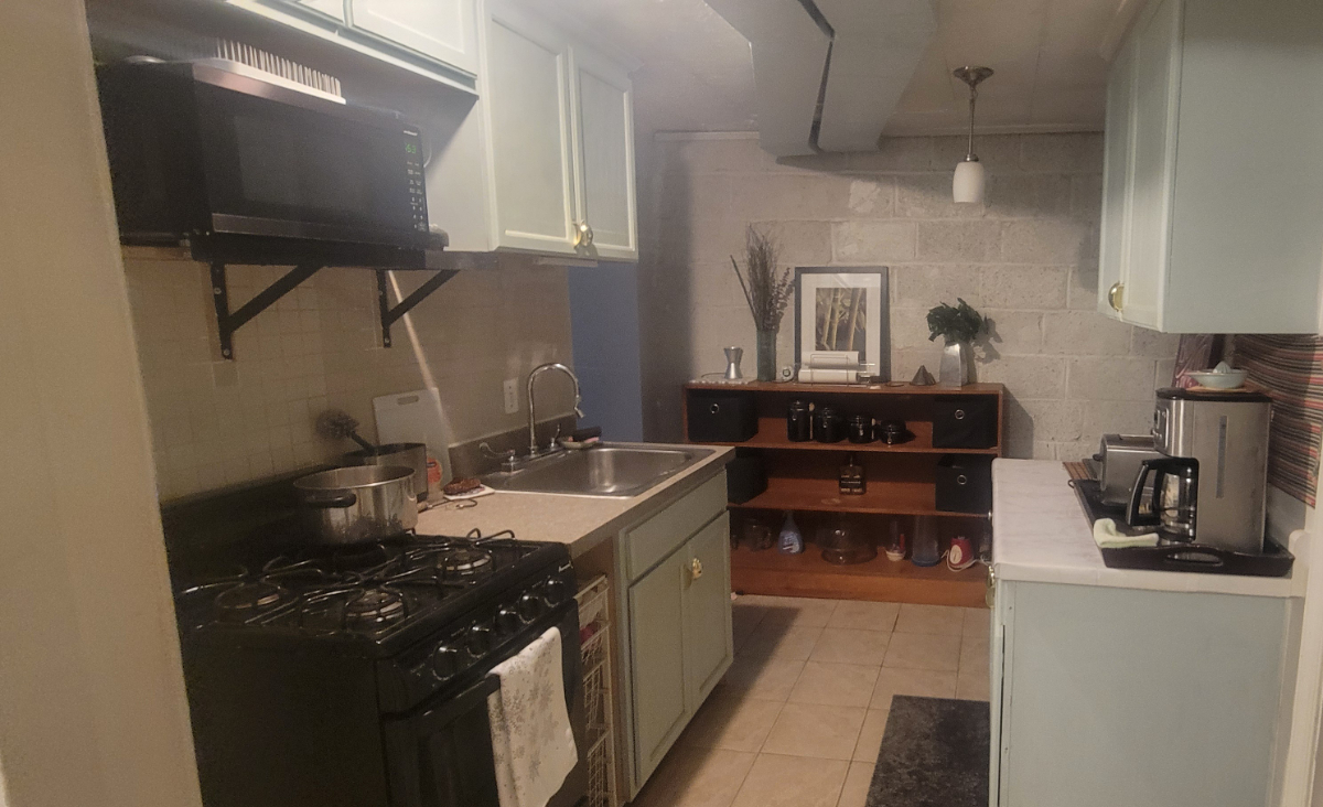 Large and Convenient Basement Studio - Photo 4