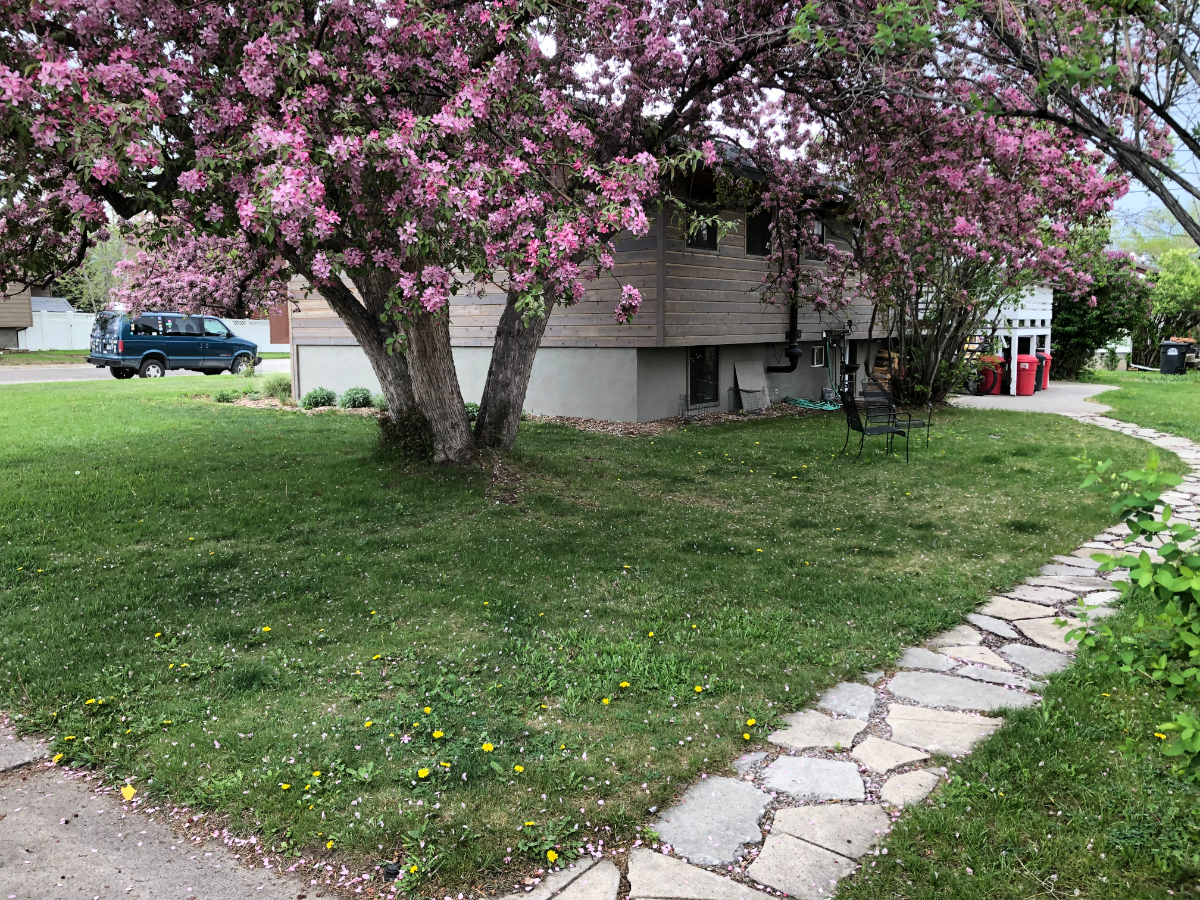 4 Blocks from City Park - Photo 12