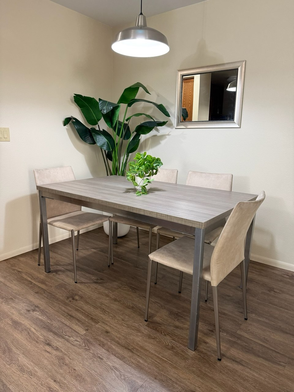 Normal Heights 1st Floor Unit 2BR/1BA, Pet OK, WD - Photo 4
