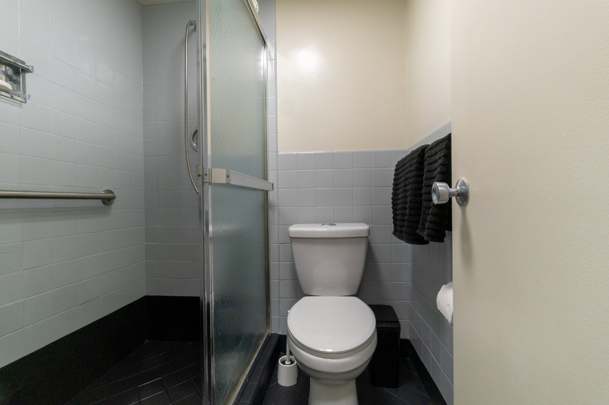 Large Private Room and Bathroom in shared condo minutes from Red Line Metro and Rock Creek Park - Photo 11