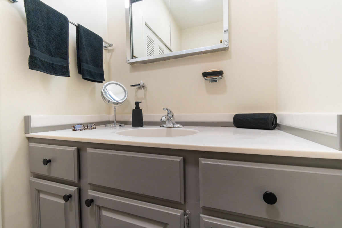 Large Private Room and Bathroom in shared condo minutes from Red Line Metro and Rock Creek Park - Photo 9