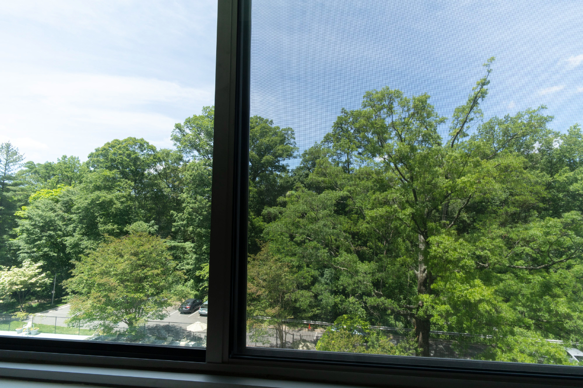 Large Private Room and Bathroom in shared condo minutes from Red Line Metro and Rock Creek Park - Photo 6