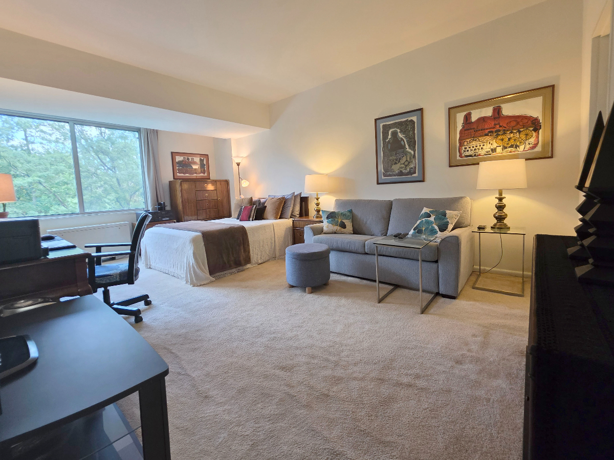 Large Private Room and Bathroom in shared condo minutes from Red Line Metro and Rock Creek Park - Photo 1