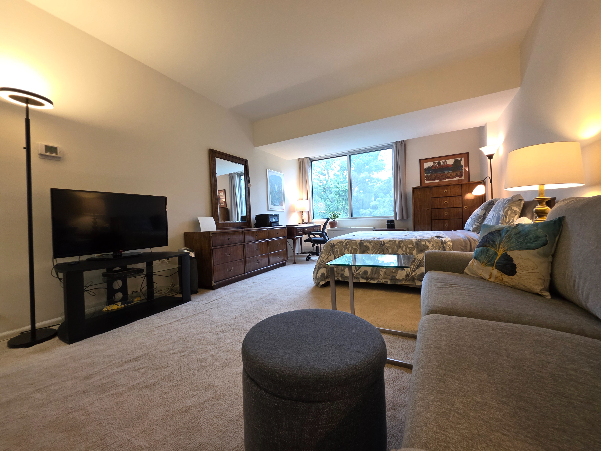 Large Private Room and Bathroom in shared condo minutes from Red Line Metro and Rock Creek Park - Photo 3