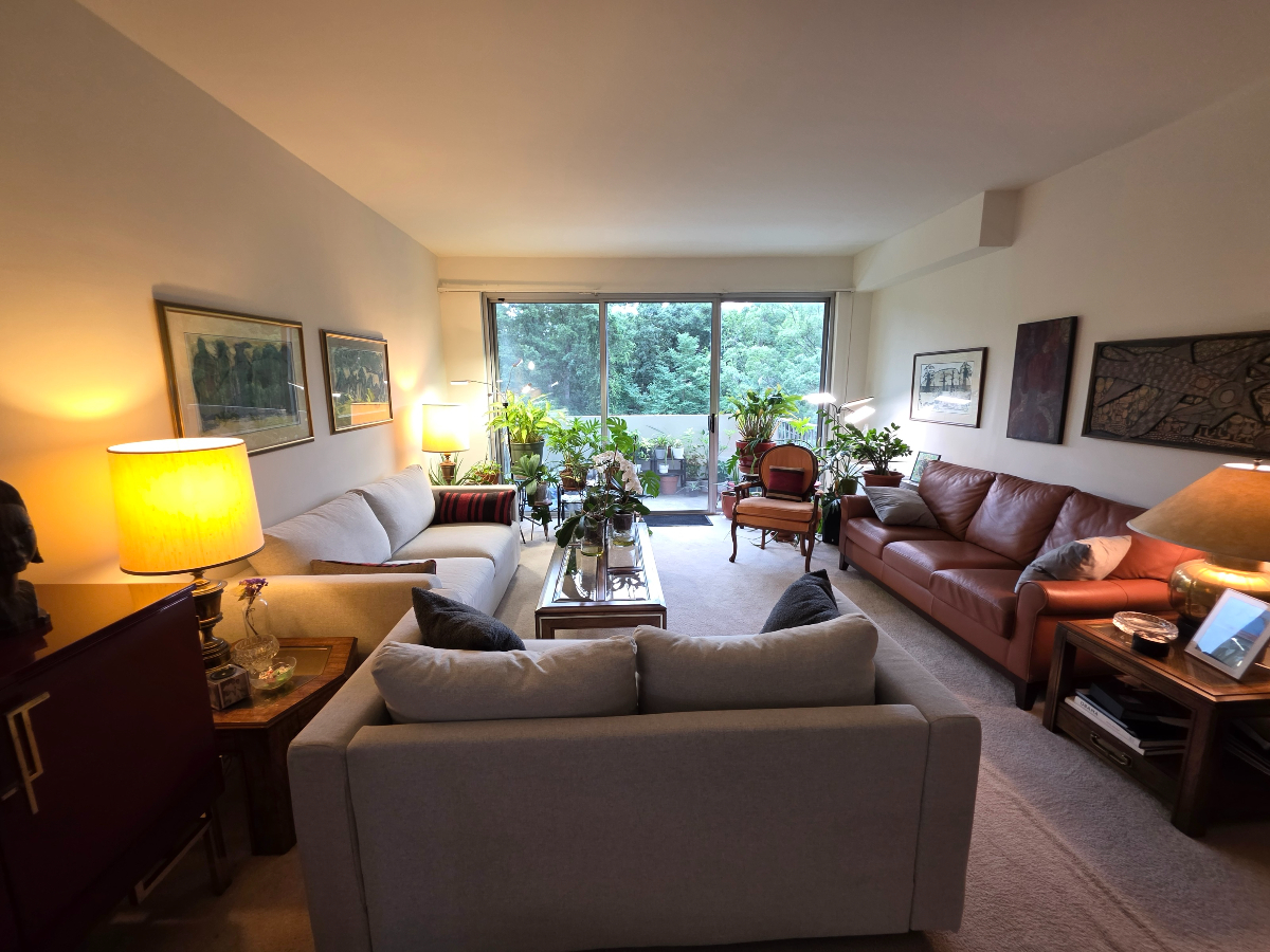 Large Private Room and Bathroom in shared condo minutes from Red Line Metro and Rock Creek Park - Photo 12