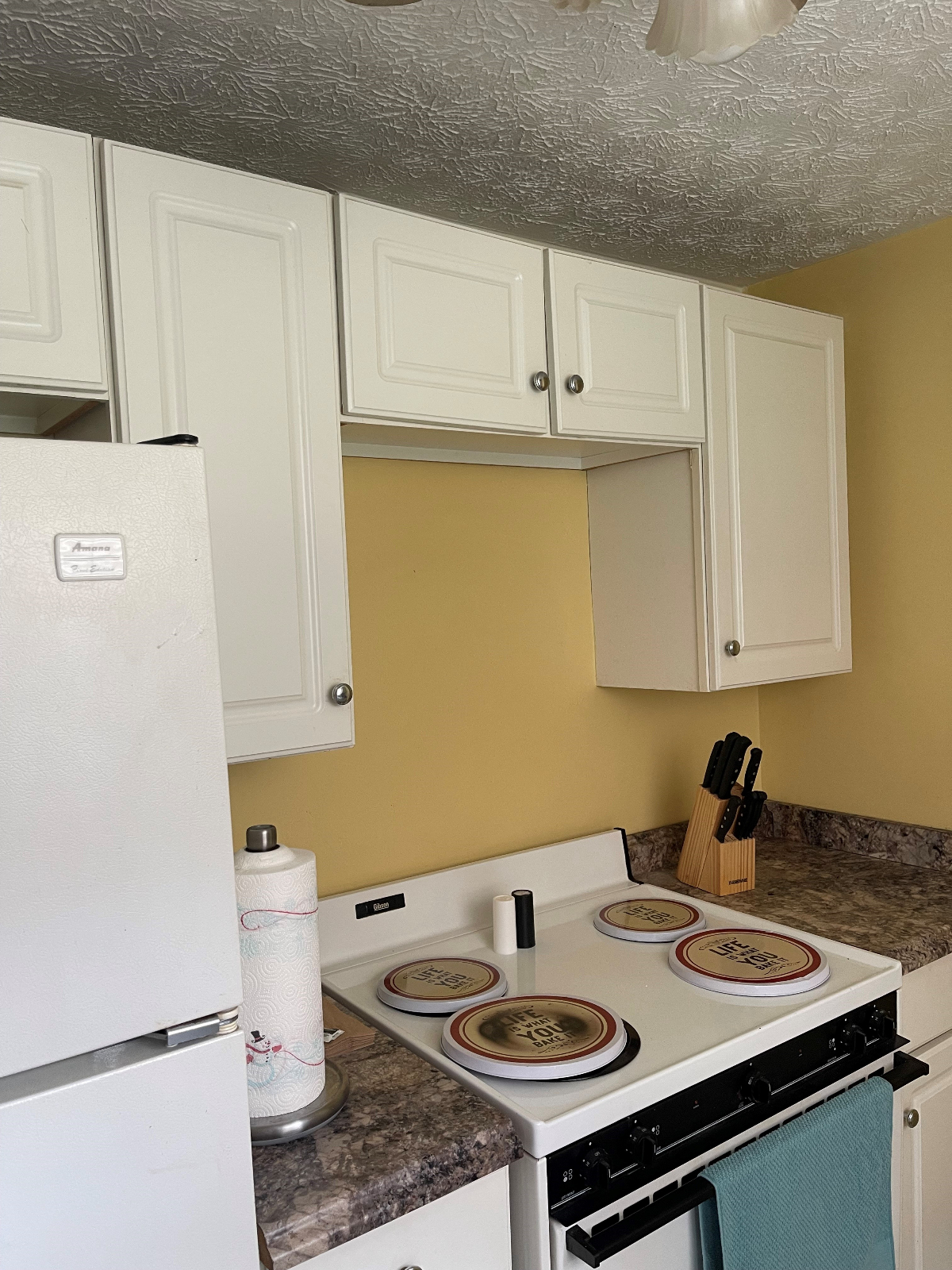 Nice Apartment close to all Charleston Hospitals - Photo 2