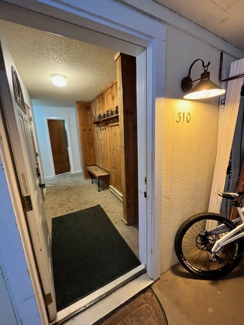 LARGE - 2ba 2ba clean Mountainside/view condo - Photo 3