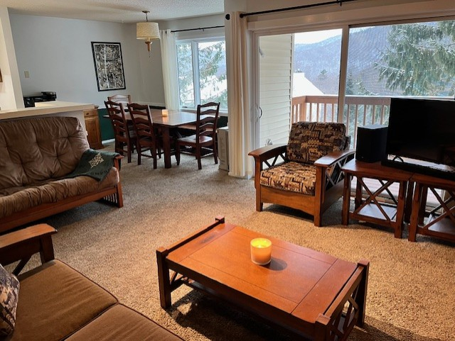 LARGE - 2ba 2ba clean Mountainside/view condo - Photo 5
