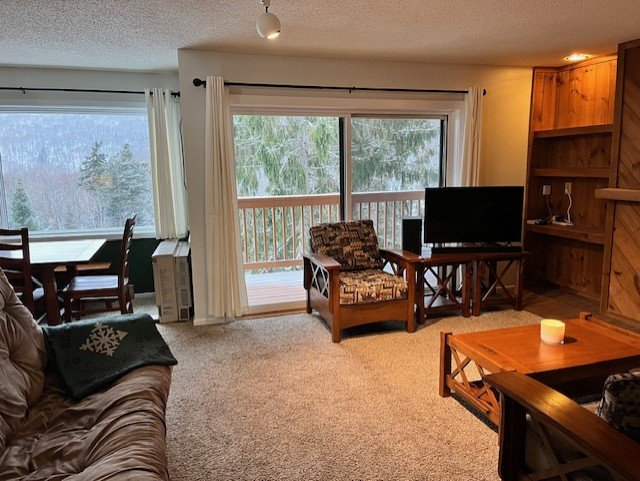 LARGE - 2ba 2ba clean Mountainside/view condo - Photo 8