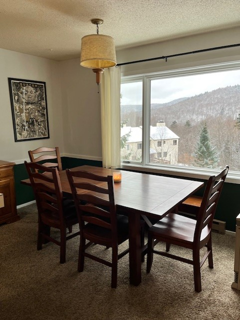 LARGE - 2ba 2ba clean Mountainside/view condo - Photo 9