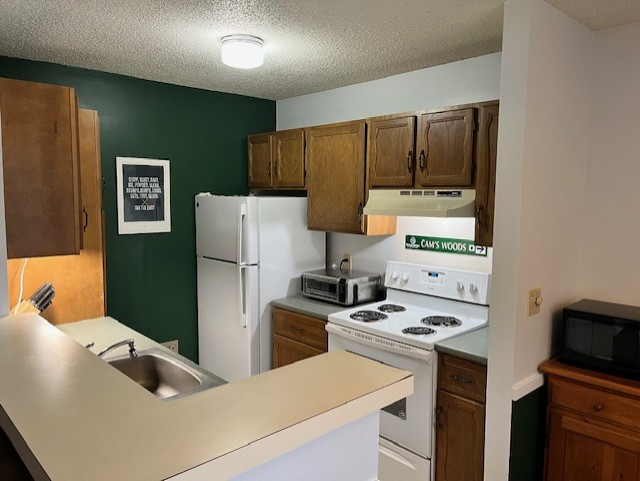LARGE - 2ba 2ba clean Mountainside/view condo - Photo 10