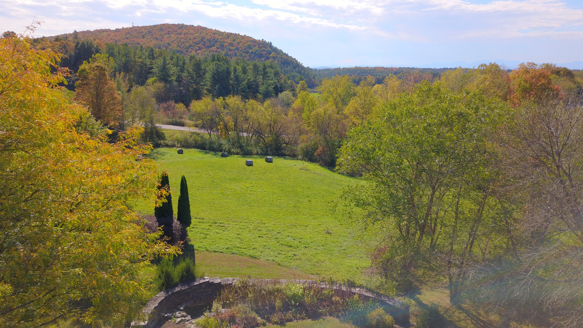 Custom Contemporary Home in Rural Setting yet Minutes to all Amenities - Photo 6