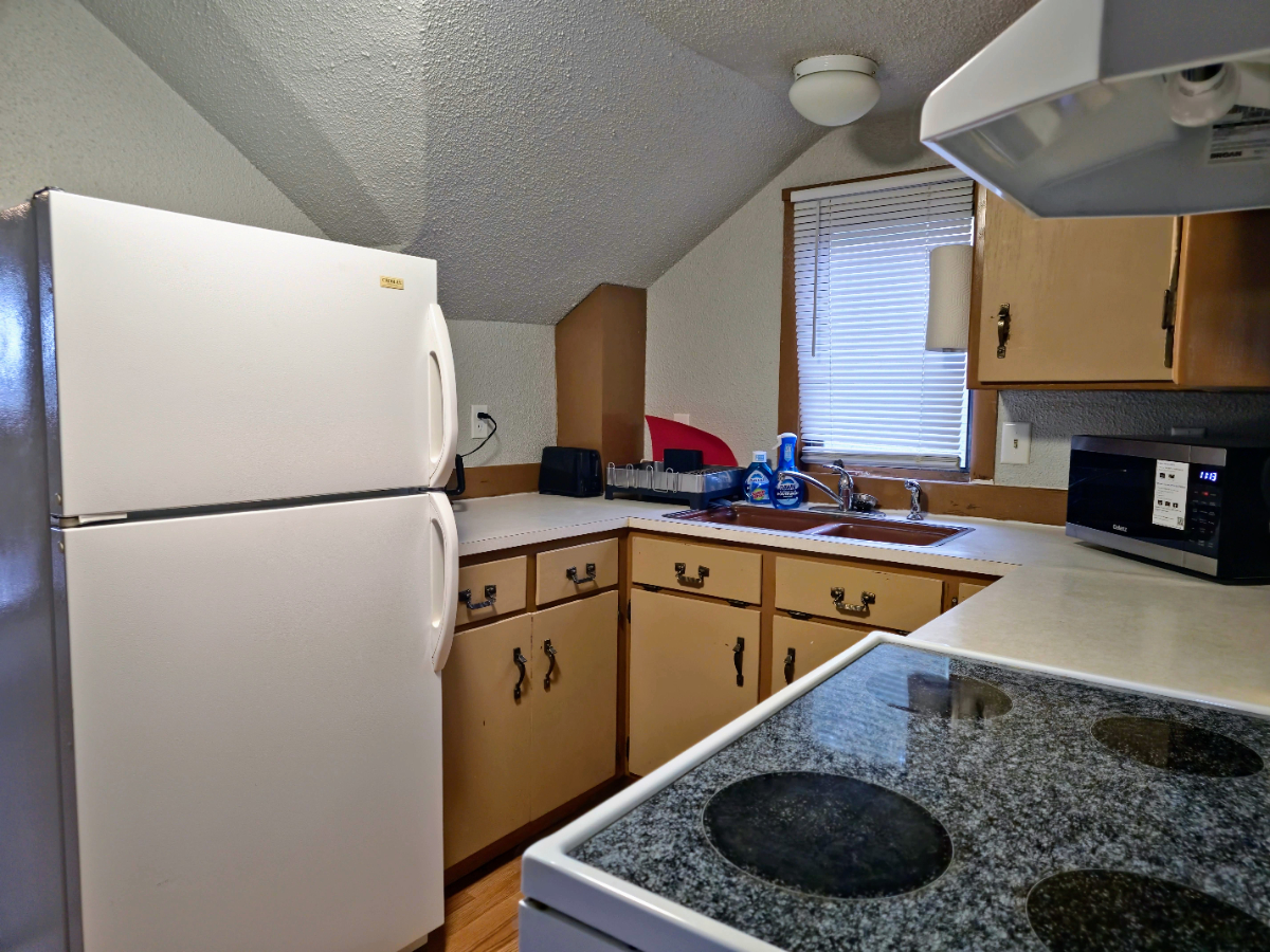 Large 1 Bedroom Apartment Near Downtown