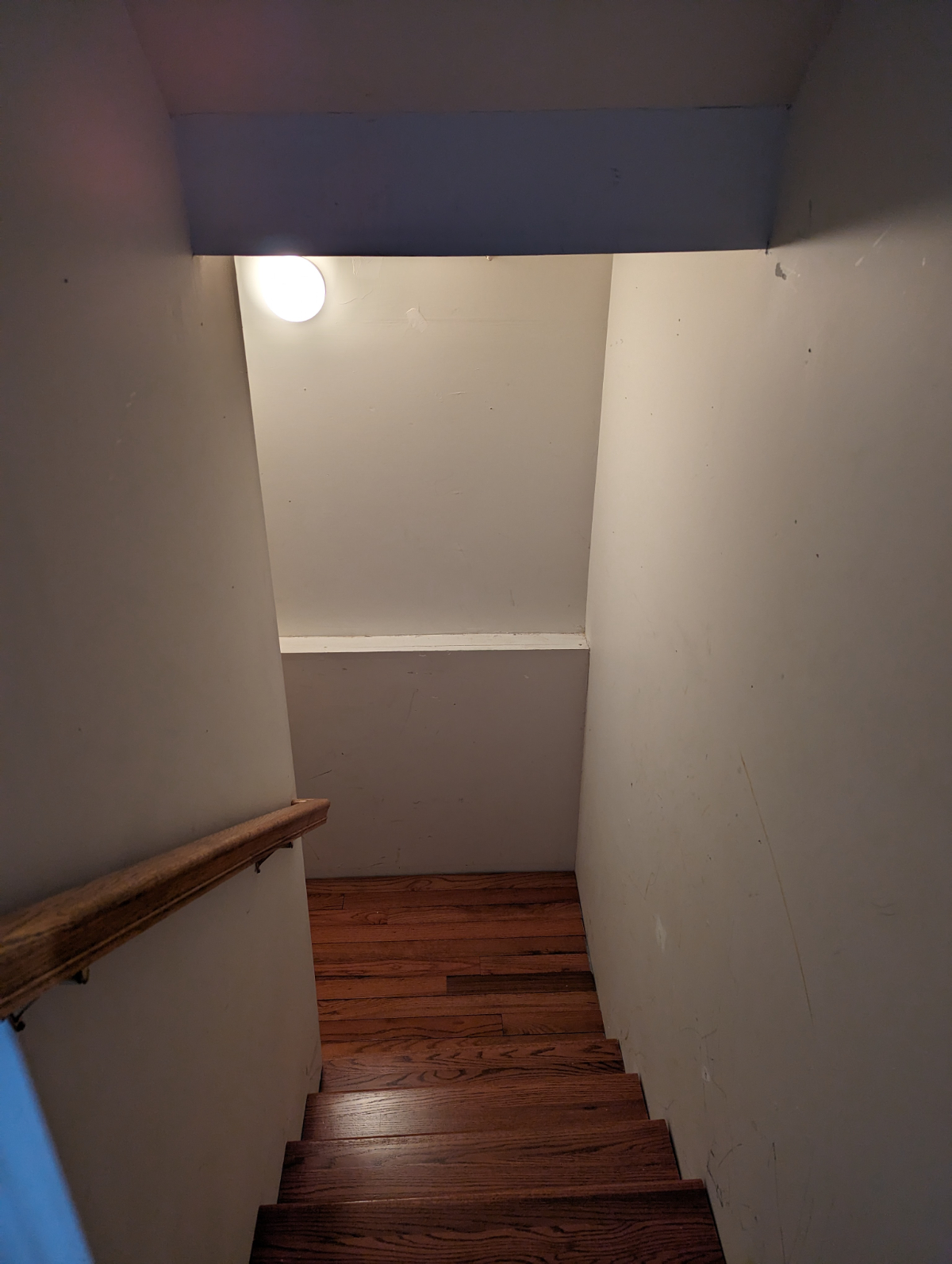 Comfortable Basement Apartment - Photo 12