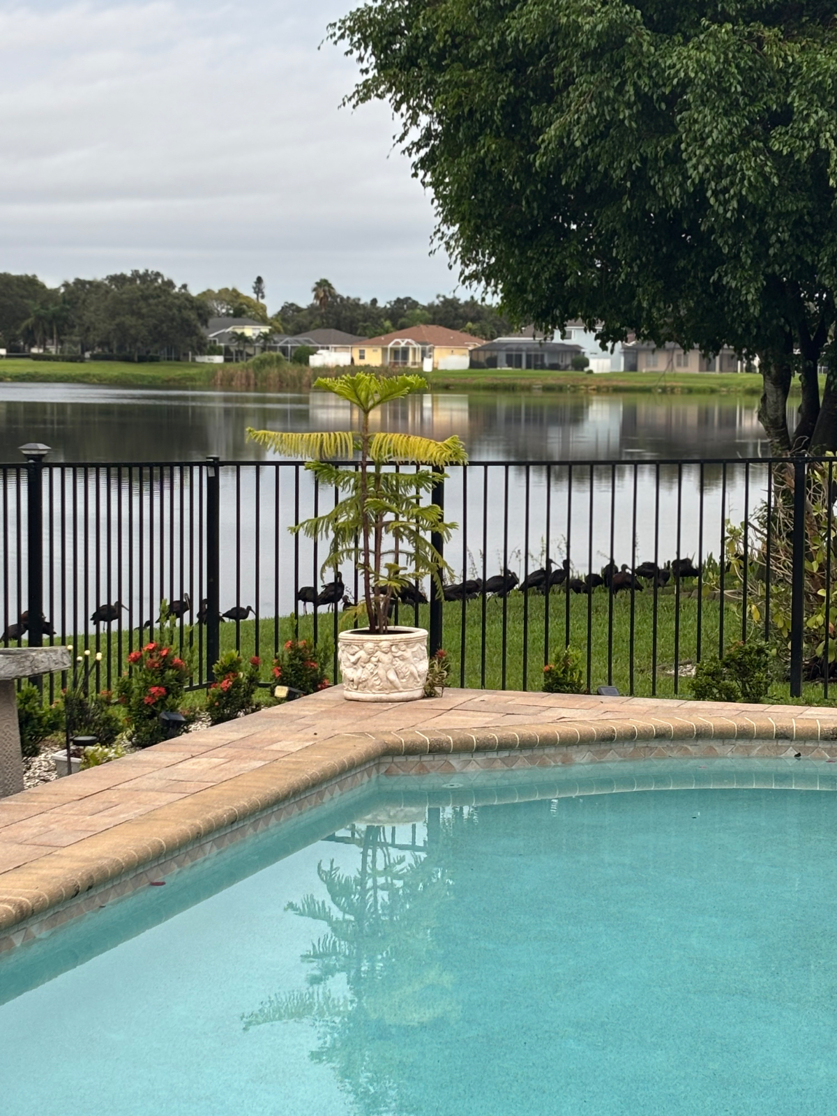 Lake View Poolside Suite with Private Bed & Bath - Photo 12