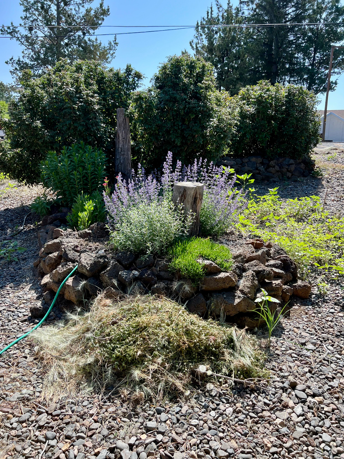 Bend Oregon Cozy 3 Bedroom, 2 Bath Home in a quiet neighborhood - Photo 3