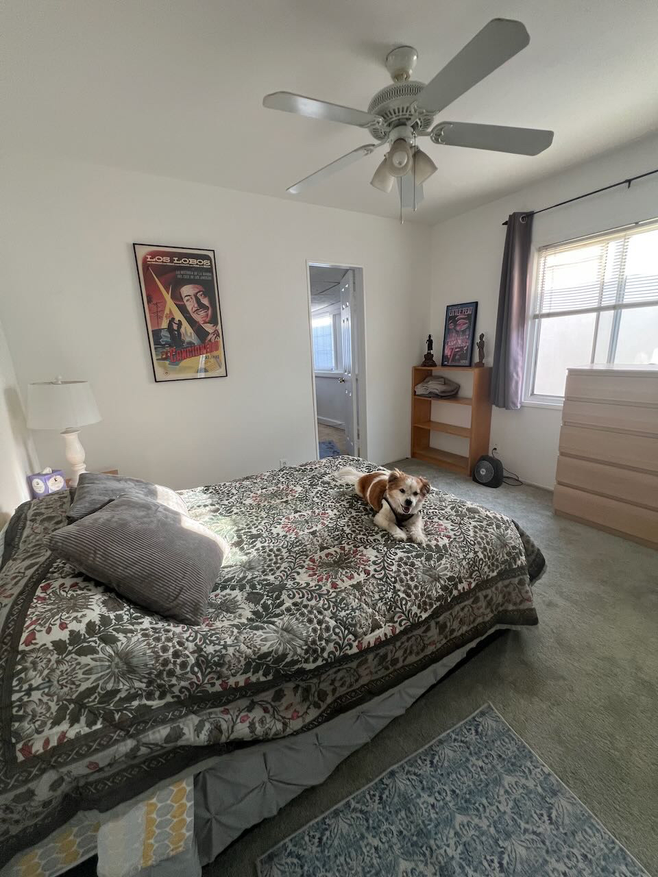 CHARMING DOG FRIENDLY SHORT TERM ROOM RENTAL - Photo 5