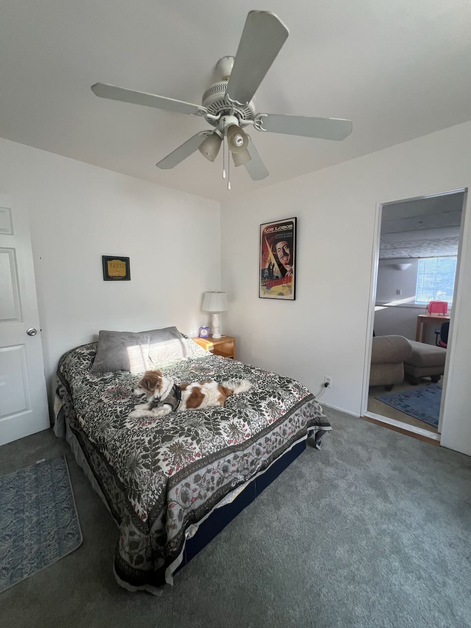CHARMING DOG FRIENDLY SHORT TERM ROOM RENTAL - Photo 4