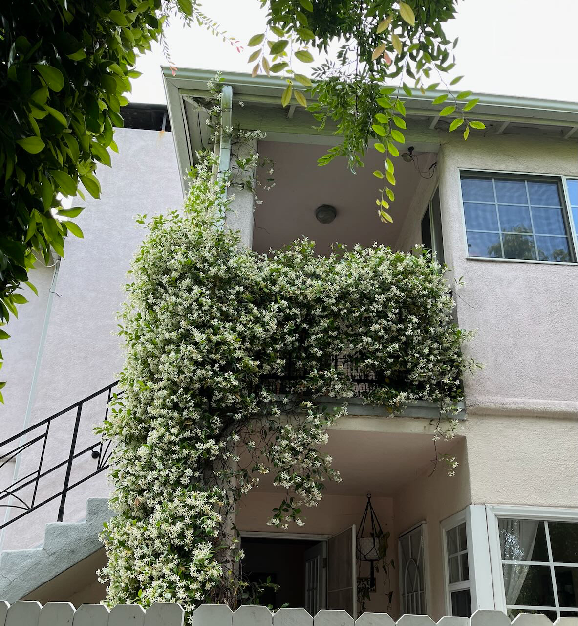 CHARMING DOG FRIENDLY SHORT TERM ROOM RENTAL - Photo 2