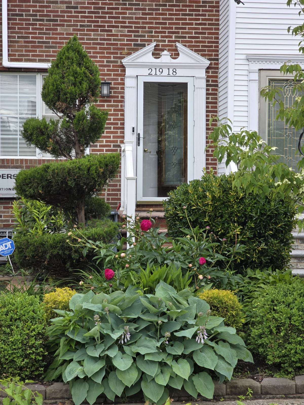 Lovely Studio Apartment with Kitchenette-Available NOW. Walking Distance to LIRR, Minutes to JFK - Photo 1