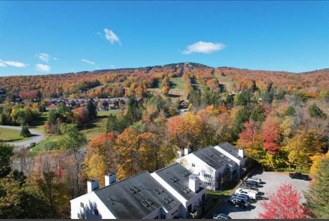Mountain-Ready Studio with Full Kitchen, Fireplace, and Walkable Resort Access - Photo 9