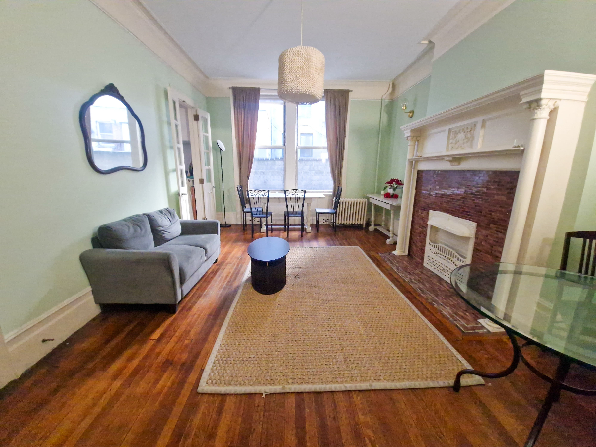 Harlem Art Deco light-filled house with room rental for guests - Photo 8