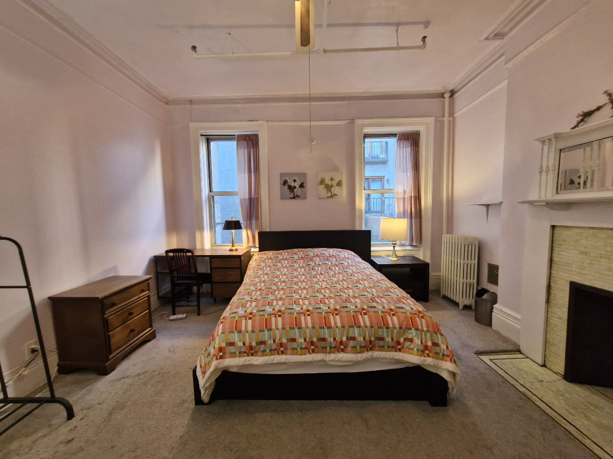Harlem Art Deco light-filled house with room rental for guests - Photo 5